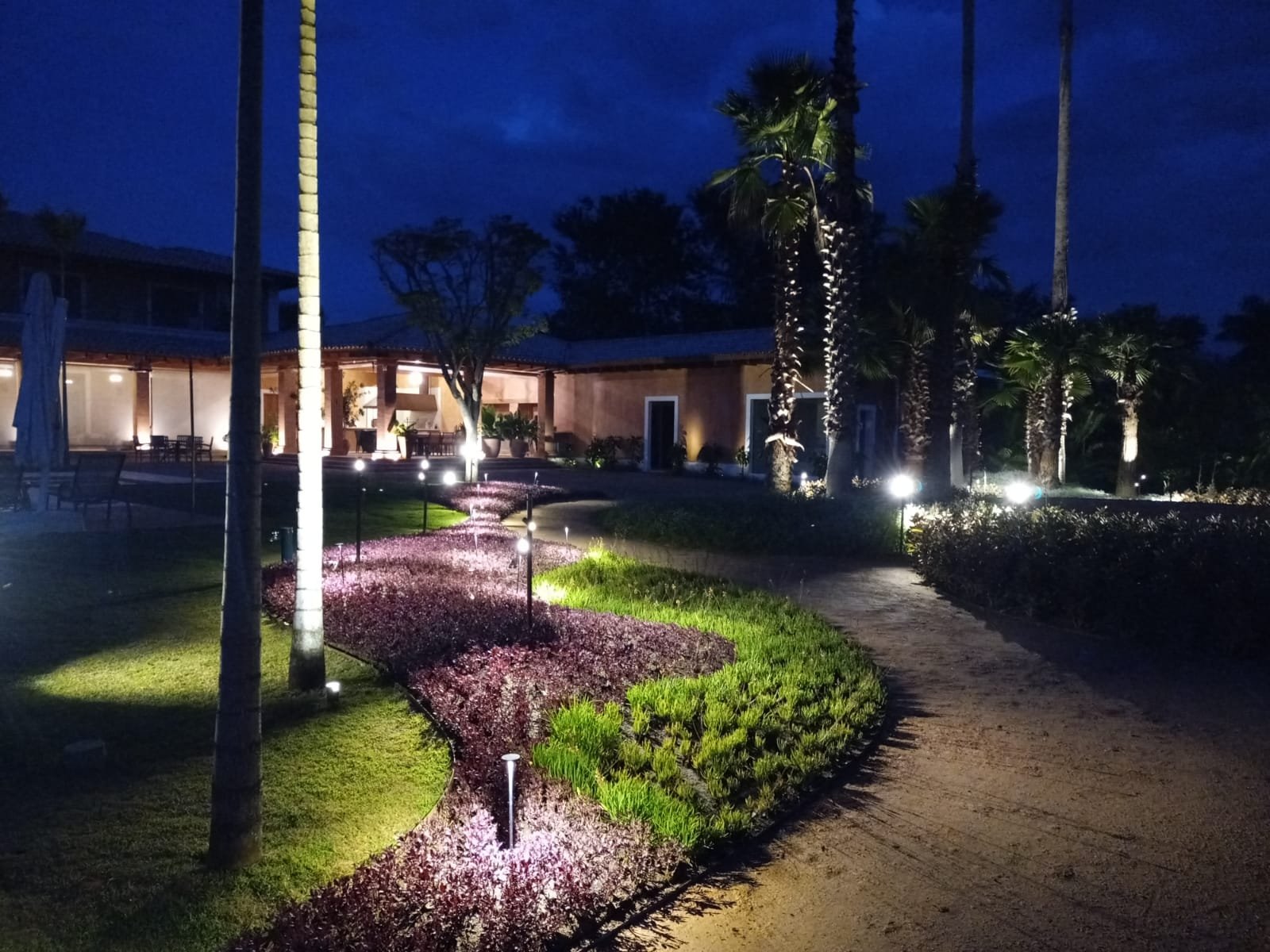 WhatsApp Image 2021-06-25 at 17.35.13 (1)